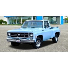 Chevrolet-GMC Light Duty Trucks 1977 S10-35 ENG 