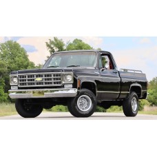 Chevrolet-GMC Light Duty Trucks 1978 S10-35 ENG 