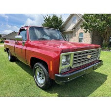 Chevrolet-GMC Light Duty Trucks 1979 S10-35 ENG 