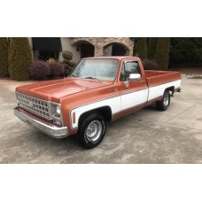 Chevrolet-GMC Light Duty Trucks 1980 S10-35 ENG 